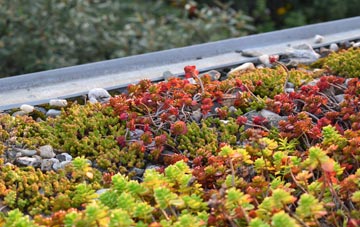 the cost of High Moor green roof installation