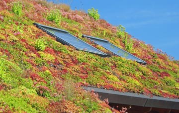 High Moor living roof systems