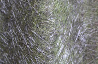 High Moor fibreglass roof work